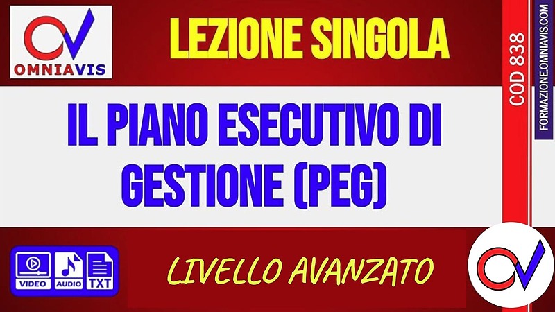 Il Piano Esecutivo di Gestione (PEG) (CHIARELLI-BIANCHINI)