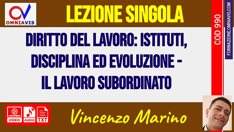 Diritto del lavoro: istituti, disciplina ed evoluzione: il lavoro subordinato [2 ore formative] (MARINO)