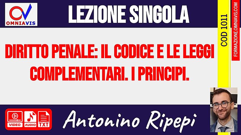 Diritto penale: il codice e le leggi complementari. I principi [1 ora formativa] (RIPEPI)
