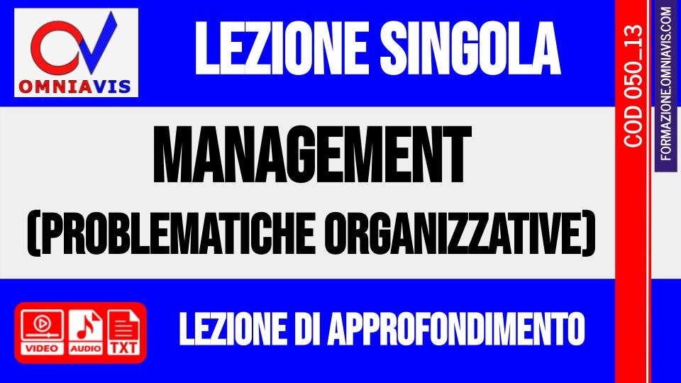 lezione 13 - Problematiche organizzative e gestionali e comportamento organizzativo (CHIARELLI)
